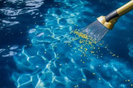A pool skimmer clearing yellow pollen from the surface of a clean blue pool, showing a fast fix.